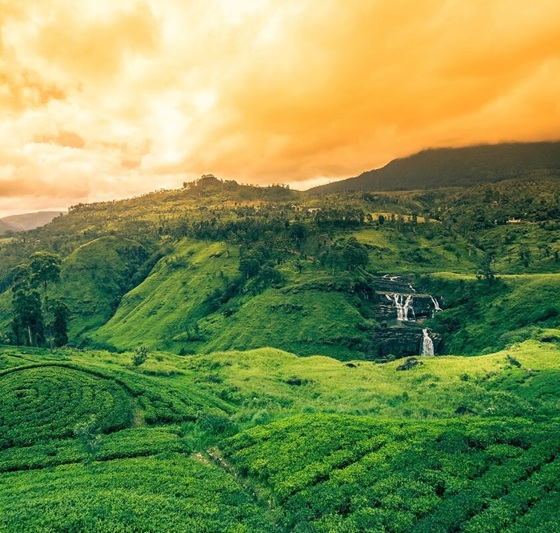 Discover Sri Lanka: Cultural Kandy, Scenic Nuwara Eliya & Coastal Bentota