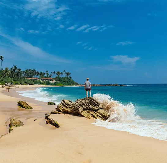 Explore Sri Lanka: Culture, Hills & Coastal Escape